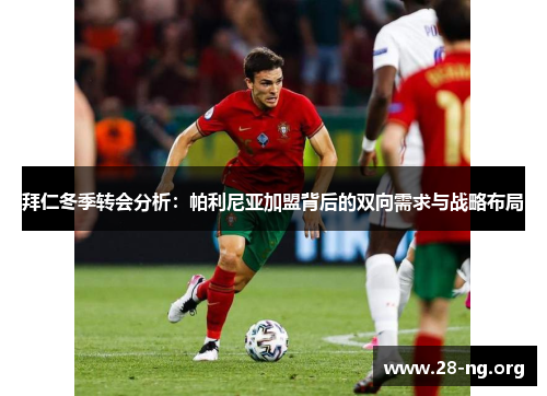 拜仁冬季转会分析：帕利尼亚加盟背后的双向需求与战略布局