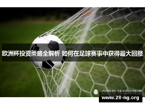 欧洲杯投资策略全解析 如何在足球赛事中获得最大回报