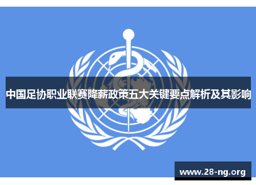 中国足协职业联赛降薪政策五大关键要点解析及其影响
