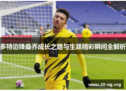 多特边锋桑乔成长之路与生涯精彩瞬间全解析