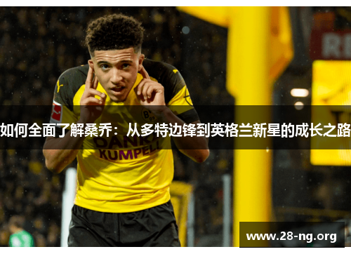 如何全面了解桑乔：从多特边锋到英格兰新星的成长之路