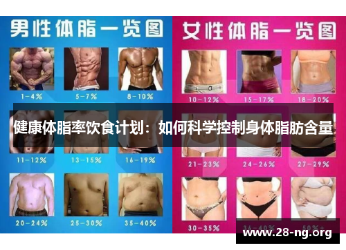 健康体脂率饮食计划：如何科学控制身体脂肪含量