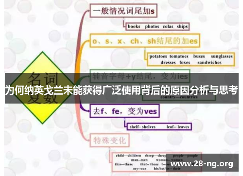 为何纳英戈兰未能获得广泛使用背后的原因分析与思考