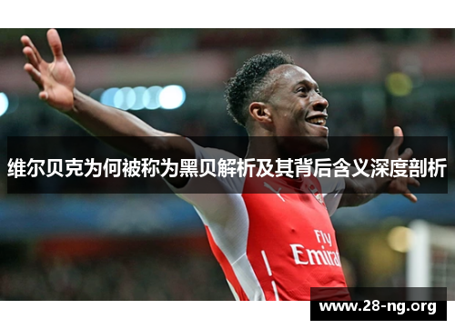 维尔贝克为何被称为黑贝解析及其背后含义深度剖析