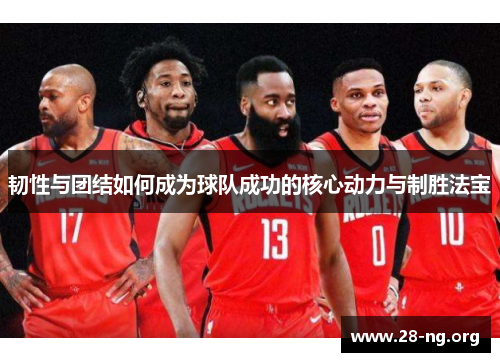 韧性与团结如何成为球队成功的核心动力与制胜法宝