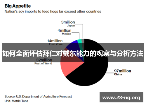 如何全面评估拜仁对戴尔能力的观察与分析方法