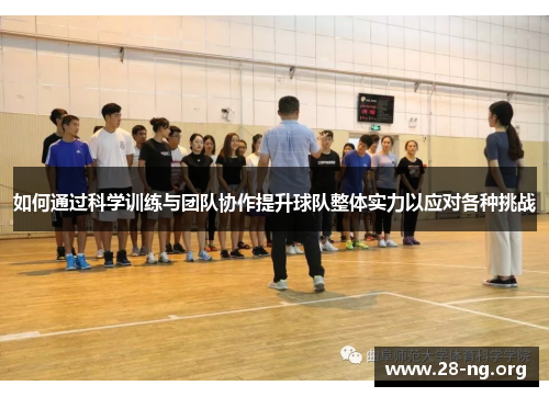 如何通过科学训练与团队协作提升球队整体实力以应对各种挑战