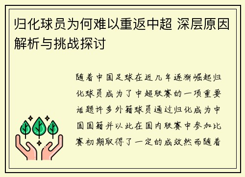 归化球员为何难以重返中超 深层原因解析与挑战探讨
