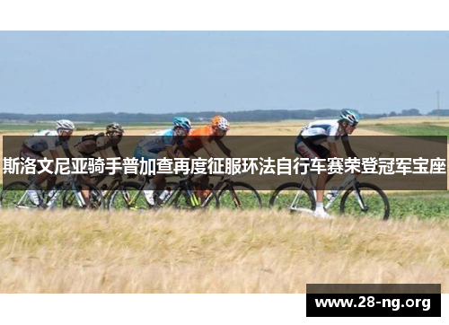 斯洛文尼亚骑手普加查再度征服环法自行车赛荣登冠军宝座